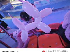 -成都浩海立方海洋公园