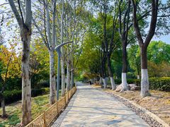 -天鹅湖体育公园