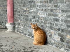 -高旻寺