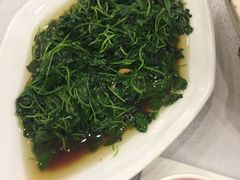 -红城阁·上海味道(四平路店)