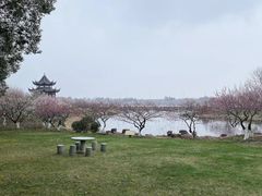 -上海海湾国家森林公园