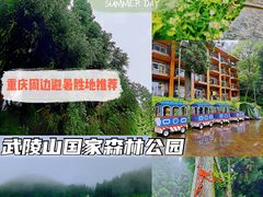 -武陵山森林公园