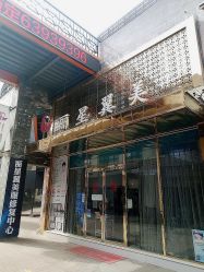 -北京丽星翼美医疗美容
