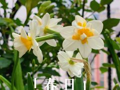 -朱儿面庄(洋河三路店)