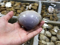 -三旗百汇商品城