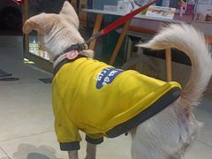 -仁华宠物医院(青羊店)