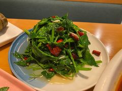 -山茶云南菜(中关村店)