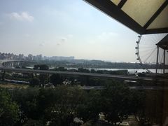 -新加坡丽思卡尔顿美年酒店