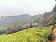-敬亭山风景名胜区