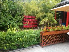 -中卫御苑福膳·养生局(圆明园店)