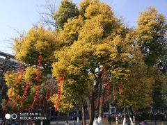 -常州古运河南大街文化旅游区-人民公园