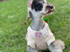 -佳雯宠物医院(四明中路分院)