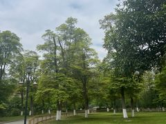 -成都南湖公园