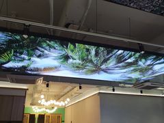 -探窝·竹笙椰子鸡(杨箕店)