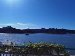-望湖烤鱼