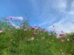 -莫日格勒旅游景区