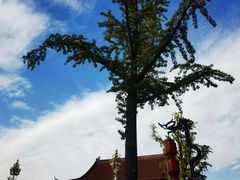 -皇罗禅寺