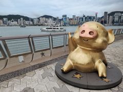-星光大道