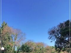 -济南南郊宾馆