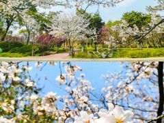 -上方山森林动物世界