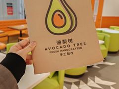 -油梨树 AVOCADO TREE(亮马桥店)