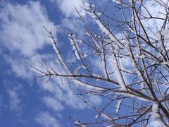 -浙西天池-售票处