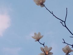 -九龙潭景区