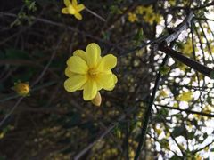 花溪十里河滩湿地公园-贵阳市花溪国家城市湿地公园