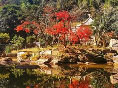 -贵州省植物园