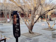 -荣国府