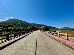 -风云岭森林公园