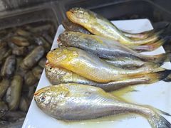 小黄鱼-阿玲海鲜面(高亭镇星河路店)