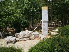 -大兴滨河森林公园