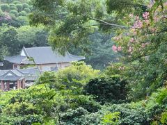 -水濂山森林公园