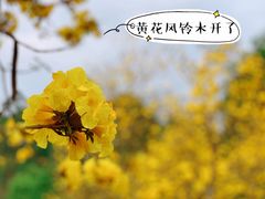 -黄龙溪欢乐田园