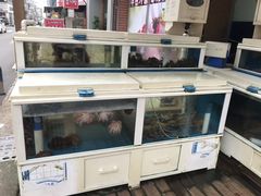 -真情鲍鱼海鲜汤