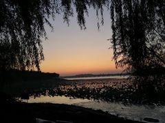 -丁香湖公园