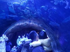 -华夏文旅海洋公园