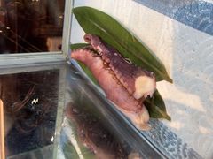 -惠州皇冠假日酒店·西餐厅·自助餐厅