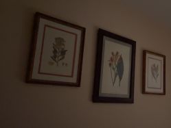 -尊尚柏丽美容SPA