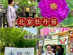 -太阳宫公园