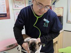 -格蕾宠物医院24H·猫科·肿瘤科·骨科中心(福州总院)