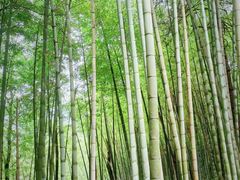 -三江森林温泉度假区