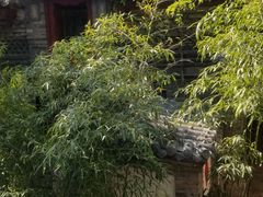 -老张烤羊(王哥庄店)