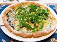 -一棵树·意大利西餐厅One Tree(新城店)