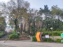 -重庆彩云湖湿地公园