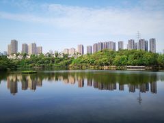 -重庆彩云湖湿地公园
