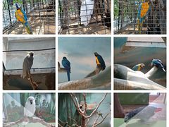 -石家庄市动物园