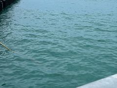 -三亚山海天JW万豪酒店