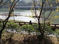 -望江楼公园